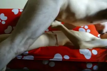 ABG Bispak Hotel Ngentot Brutal Panas